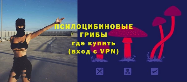 прущая мука Алзамай
