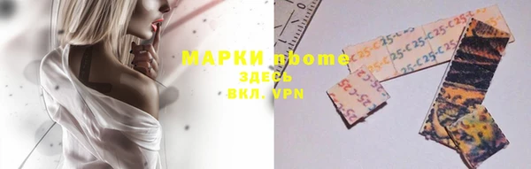 прущие грибы Абинск