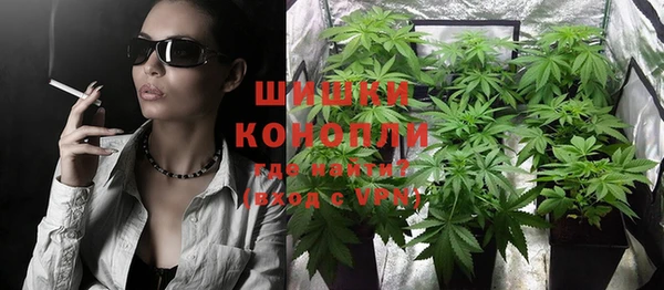 ПСИЛОЦИБИНОВЫЕ ГРИБЫ Алексеевка