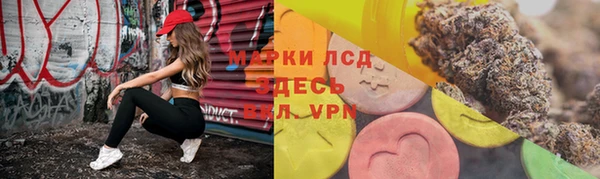 ПСИЛОЦИБИНОВЫЕ ГРИБЫ Алексеевка